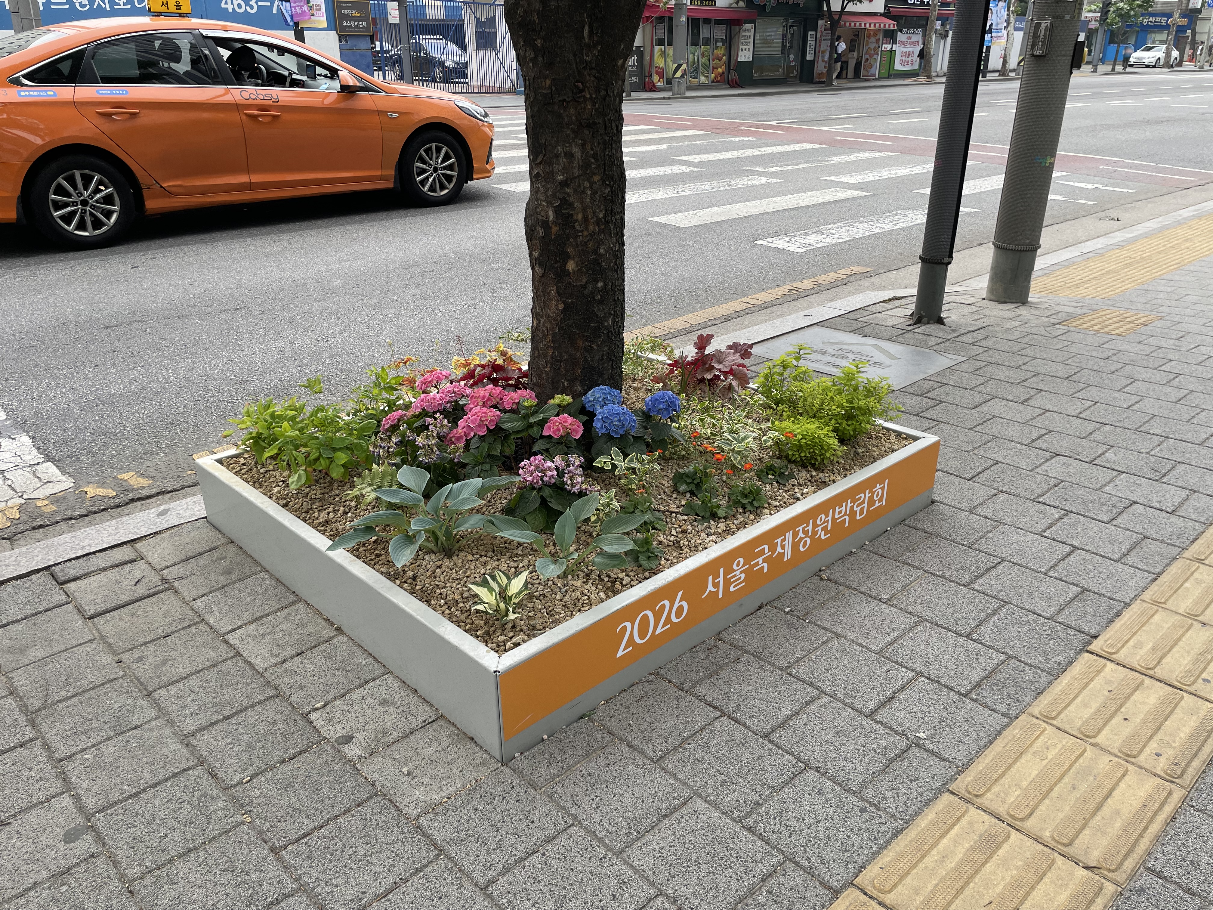 박람회