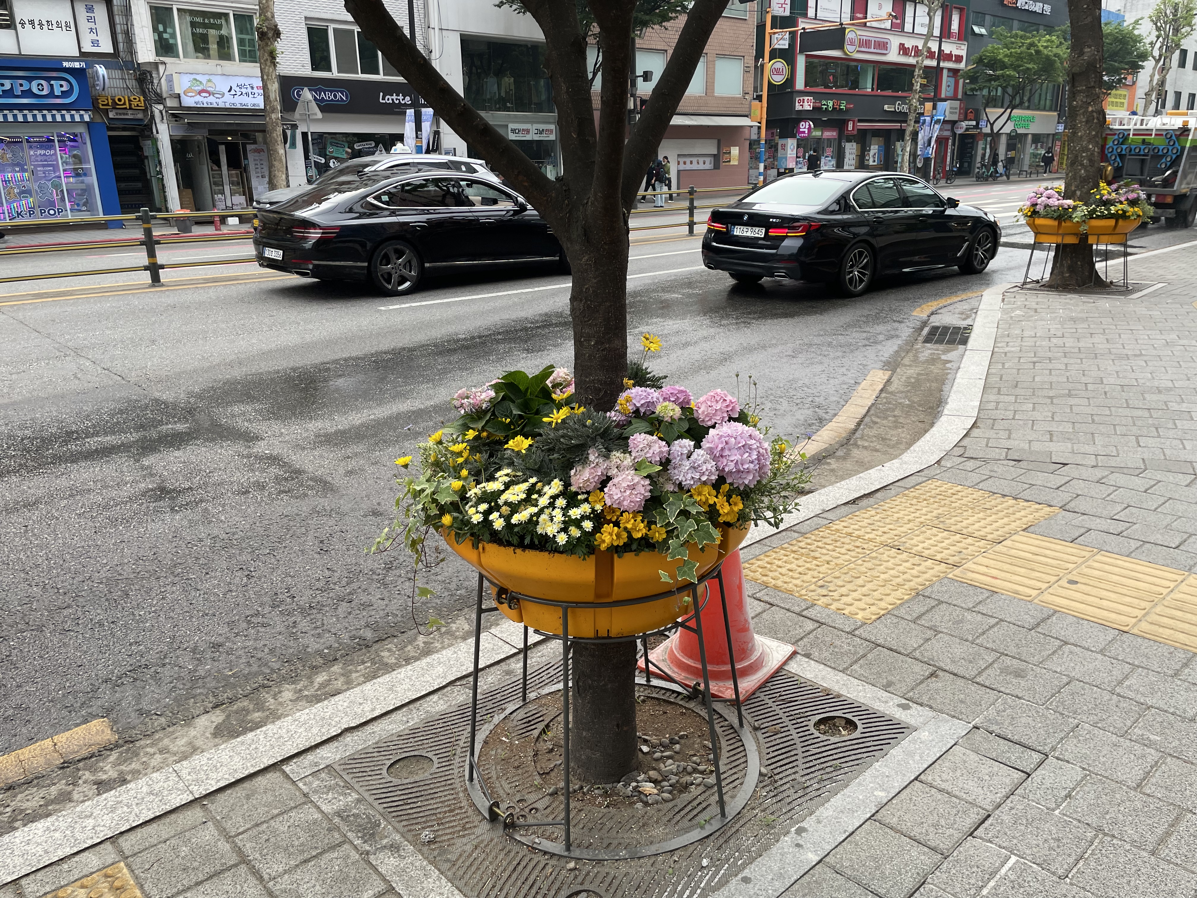 박람회